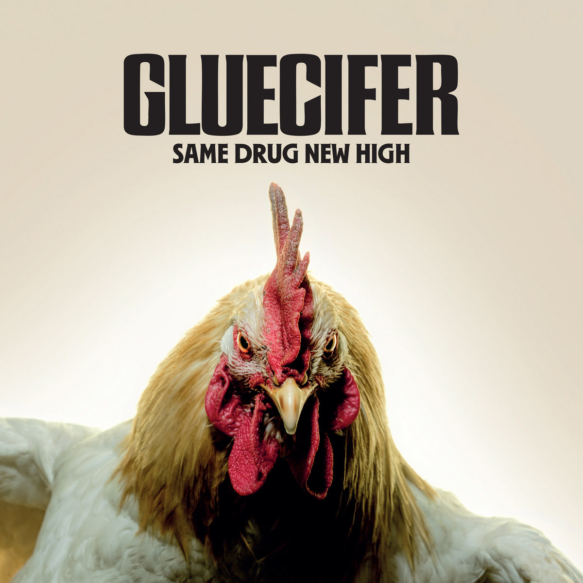 Glueciffer – Same drug – New High